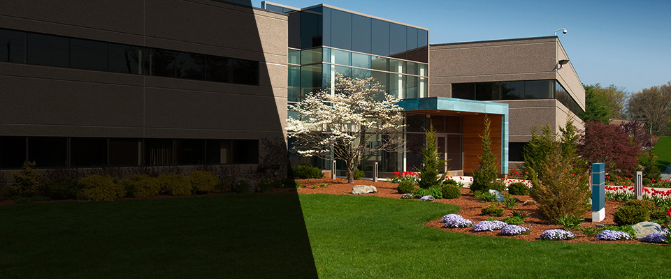 Nicholls Landscapers