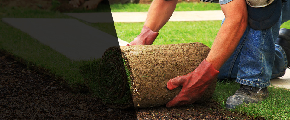 Nicholls Landscapers